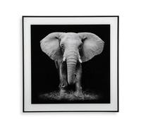 BigBuy Home S3403596 Tableau, éléphant, 2 x 50 x 50 cm