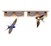 BigDean 2X Nichoir pour Hirondelles Double Nid en Béton de Bois