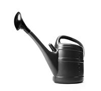 BigDean Arrosoir 10 litres anthracite pour la maison et le jardin - En plastique robuste - Arrosoir de jardin avec douchette amovible - Pour arroser facilement les fleurs, les plantes et les arbres