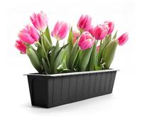 BigDean Lot de 10 palettes de fleurs, insertion anthracite, jardinière pour planter et décorer, jardinière de balcon pour herbes, fleurs et plantes, en plastique résistant aux UV et aux intempéries