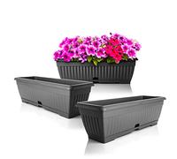 BigDean Lot de 3 jardinières avec soucoupe amovible Anthracite 50 cm de long en plastique incassable - Jardinière de balcon avec réservoir d'eau pour l'intérieur et l'extérieur - Fabriqué en Europe