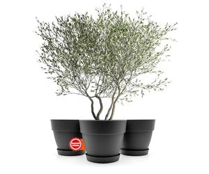 BigDean Lot de 3 pots de fleurs ronds avec soucoupe, diamètre 40 cm, anthracite, cache-pot pour l'intérieur et l'extérieur, en plastique incassable et fabriqué en Europe