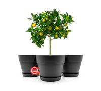 BigDean Lot de 3 pots de fleurs ronds avec soucoupe, diamètre 47 cm, anthracite, cache-pot pour l'intérieur et l'extérieur, en plastique incassable et fabriqué en Europe