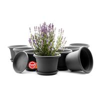 BigDean Lot de 8 pots de fleurs ronds avec soucoupe, diamètre : 25 cm, anthracite, résistants aux intempéries, fabriqués en Europe