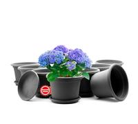BigDean Lot de 8 pots de fleurs ronds avec soucoupe, diamètre : 30 cm, anthracite, résistants aux intempéries, fabriqués en Europe