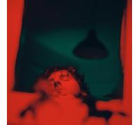 Biggs,Alexander - Stay With the Horses