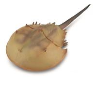 Bigjigs Toys Crabe Fer à Cheval - XL - 88905 - Collection - Figurine à Collectionner (Deqube 90188905)