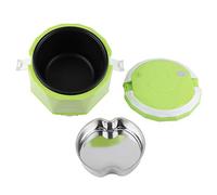 BigKing Cuiseur à Riz Électrique Portable Multifonction 24 V, 140 W, 1,6 L pour Camion (Vert)