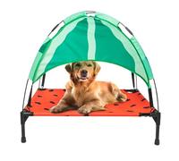 BigMouth Inc. Grand lit surélevé pastèque pour chiens