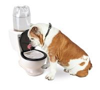 BigMouth Inc The Toilet Water Dish