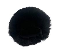 BIGULA Filtre pour microphone H4essential - Pour enregistreur portable - Pour enregistreur portable