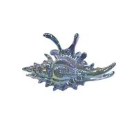 BIGULA Pince à cheveux conque en acrylique pour une utilisation à long terme, épingle à cheveux portable pour femmes actives, pince à cheveux tendance, taille unique, Comme décrit