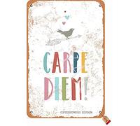 BIGYAK Carpe Diem Tin Retro Look 20 x 30 cm Décoration Art Sign pour la maison, la cuisine, la salle de bain, la ferme, le jardin, le garage Citations inspirantes Décoration murale