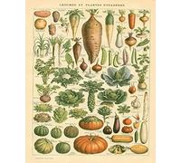 BIGYAK EpochSign - Plaque murale en métal émaillé vintage - Motif légumes et légumes - 20,3 x 30,5 cm