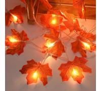 Bigzom Halloween Decoration,3M Decoration Automne, 20 Guirlandes lumineuses, Gugirlande de feuilles d'automne, Decoration Halloween noel, Décoration de Thanksgiving, Decoration murale