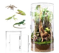Biigdan Terrarium Cylindrique, Vivarium Transparent à 360° - Terrarium Phasme en Acrylique, Boîte d'Élevage pour Reptiles, Araignée, Escargots, Mante Religieuse, Lézard, Rainette, Coléoptère