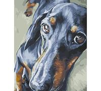 BIIONE Peinture Par Numéro Kit, Peinture À L'Huile Bricolage Avec Brosses Et Teckel Noir Peintures Pour Adultes Enfants Seniors Débutant