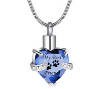 Bijou funéraire pour chien chat étanche urne commémorative pour animaux de compagnie Collier avec pendentif pour cendres, Acier inoxydable, Pas de gemme