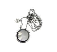 Bijoux commémoratifs pour animaux de compagnie, collier médaillon rond ouvert pour préserver les poils de chien et de chat en alliage de Zinc, pendentif traditionnel pour poils d ' animaux, bijoux de
