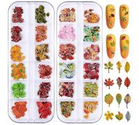 Bijoux Ongles Nail Art Automne 2 Boîtes Charms Decoration Ongle Feuille d'Érable Nails Art Bijou Ongle pour Femmes et Filles Thanksgiving, Les Fêtes d'Automne et Halloween