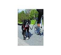 Biker-Set pour grands chiens