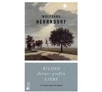Bilder deiner großen Liebe : ein unvollendeter Roman | Wolfgang Herrndorf Wolfgang Herrndorf (Auteur)