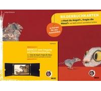 Bilderbuchkarten »Hast Du Angst?«, Fragte Die Maus« Von Rafik Schami Und Kathrin Schärer