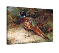 Bilderdepot24 Image sur toile | Archibald Thorburn Coq et poule - Faisan en 40 x 30 cm comme décoration murale | Décoration murale pour appartement vieux maître | 181164 40 x 30 cm