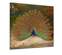 Bilderdepot24 Image sur toile - Archibald Thorburn - Paon et papillon - 40 x 40 cm - Décoration murale pour appartement ancien - 181171-40 x 40 cm