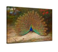 Bilderdepot24 Image sur toile - Archibald Thorburn - Paon et papillon - 70 x 50 cm - Décoration murale pour appartement ancien - 181171-70 x 50 cm