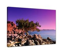 Bilderdepot24 Impression d'art - Arbre méditerranéen sur Rhodes - la Grèce - 80 x 60 cm - Images comme Une Impression de Toile - Image par - Coucher de Soleil Violet sur la mer Méditerranée