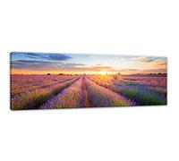 Bilderdepot24 Impression d'art - Champ de Lavande dans Le sud de la France - 90x30 cm - Image sur Toile - Paysages - Champs en Fleurs - Provence - Lilas