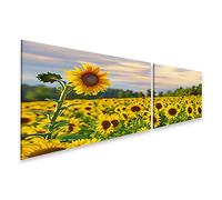 bilderfelix Tableau sur toile Un grand tournesol avec un champ de tournesols et un beau ciel du soir - Toile 160x40 cm - 2 panneaux