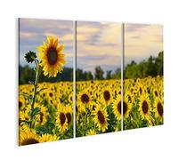 bilderfelix Tableau sur toile Un grand tournesol avec un champ de tournesols et un beau ciel du soir - Toile 130x80 cm - 3 panneaux