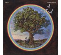 Bill Fay Countless Branches (Vinyl) Deluxe 12" Album