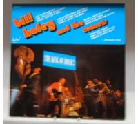 Bill Haley and the Comets - The King of Rock ! Vinyl Doppel LP : 22 Tracks ;