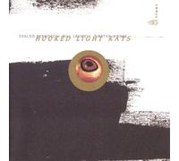 Bill Laswell - Hooked Light Rays