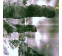 Bill Laswell - Oscillations [Import]