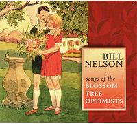 Bill Nelson - Albion Dream Vortex(Ltd Digipak 2013. 1000 copies)