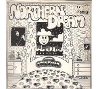 BILL NELSON - NORTHERN DREAM LP (VINYL) UK SMILE 1971
