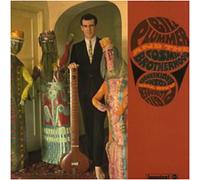 Bill Plummer and the cosmic brotherhood CD