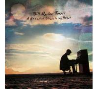 Bill Ryder-Jones A Bad Wind Blows in My Heart (Vinyl) 12" Album