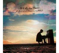 Bill Ryder-Jones – A Bad Wind Blows in My Heart – Album vinyle 12" – Domino