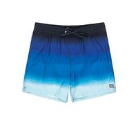 Billabong All Day Fade Swimming Shorts Bleu M Homme