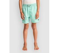 Billabong All Day Kids Boardshort vert T16