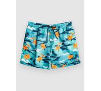 Billabong Homme Island 16 LB Maillot De Bain, Aqua, XL EU