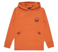 Billabong - Kid's Compass Hood - Sweat à capuche - 134 - dusty orange