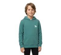 Billabong Garçon Foundation Po Kids Sweater, Sagebrush, 16 Ans EU