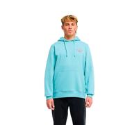 Billabong Sweat-shirt Foundation Ebysf00189
