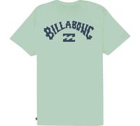 BILLABONG T-Shirt Manche Courtes All Day Theme Homme Vert